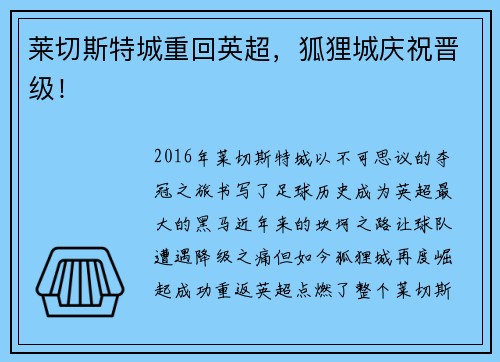 莱切斯特城重回英超，狐狸城庆祝晋级！